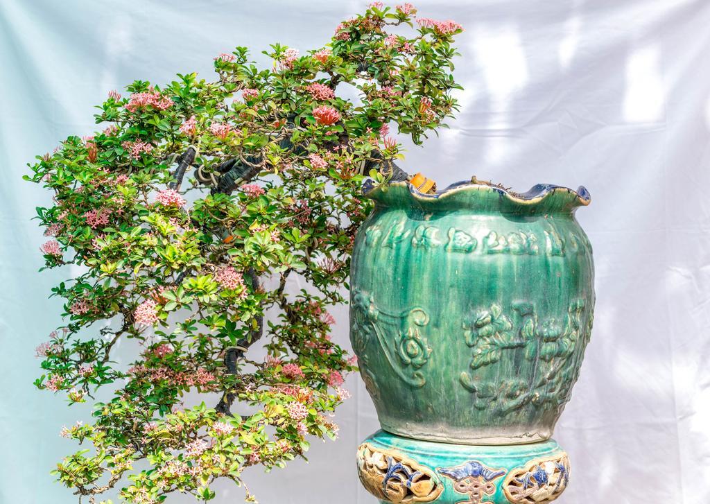 Bonsai Villa Hoi An Zewnętrze zdjęcie