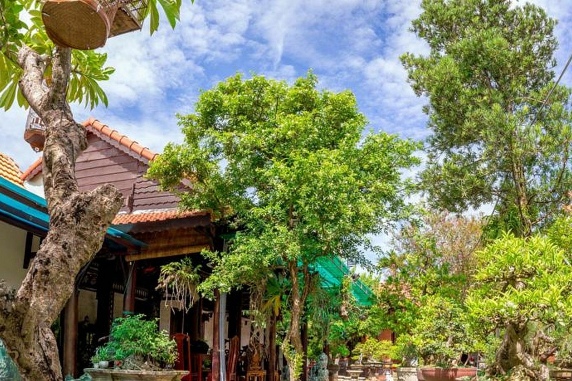 Bonsai Villa Hoi An Zewnętrze zdjęcie