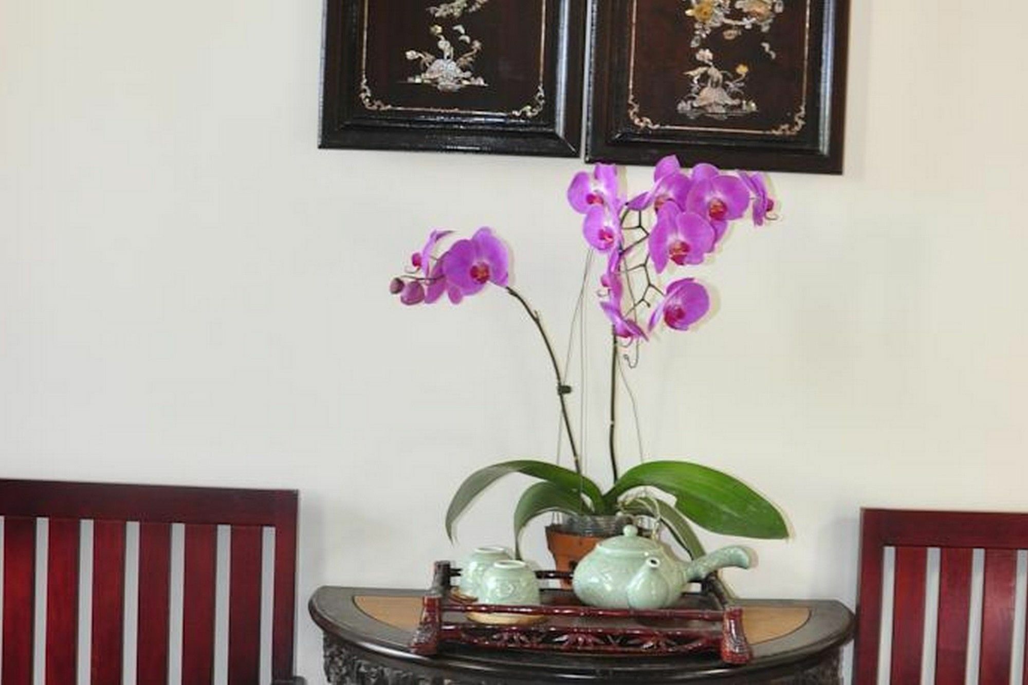 Bonsai Villa Hoi An Zewnętrze zdjęcie